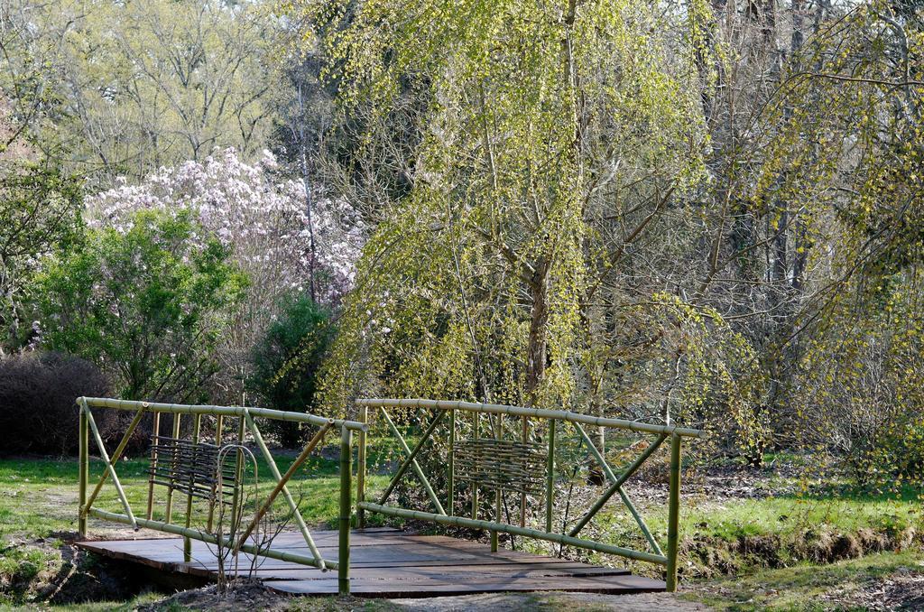 Bed and Breakfast La Demeure D'Aglae Villeneuve-sur-Allier Экстерьер фото
