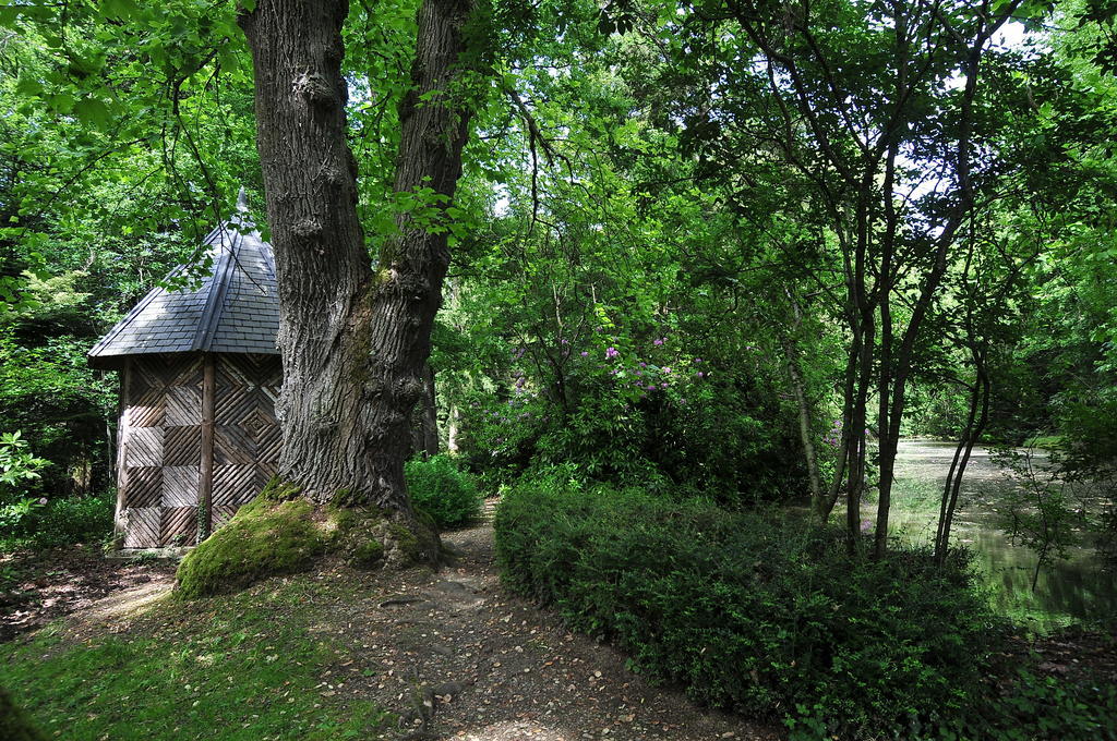 Bed and Breakfast La Demeure D'Aglae Villeneuve-sur-Allier Экстерьер фото
