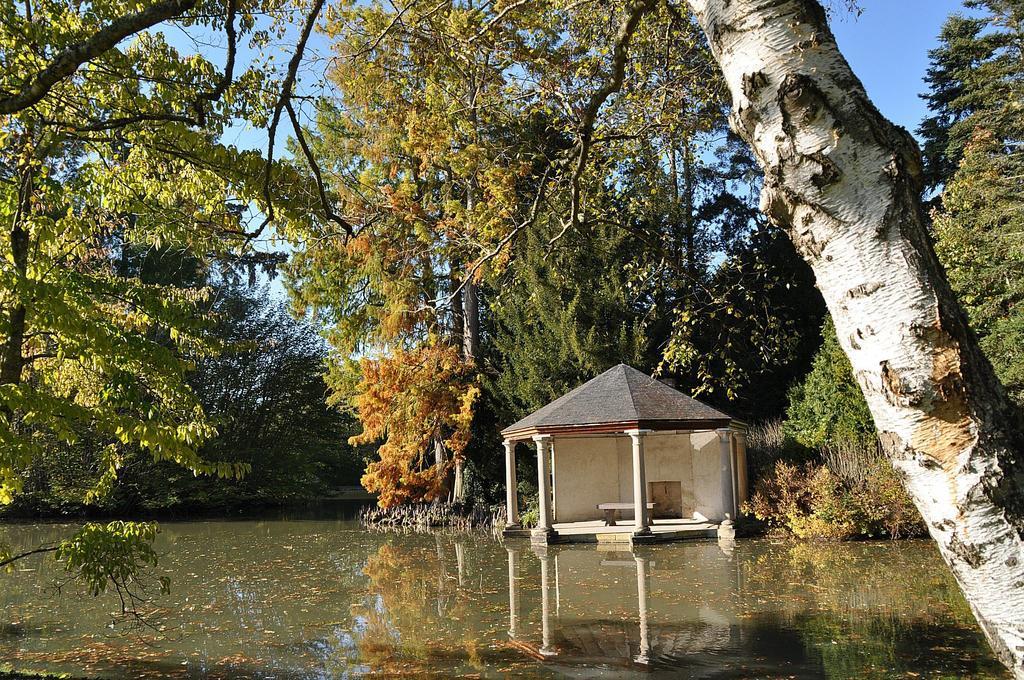 Bed and Breakfast La Demeure D'Aglae Villeneuve-sur-Allier Экстерьер фото